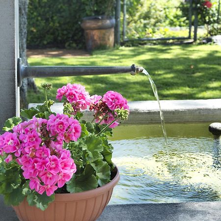 Hotel B&Balpenheim Teufen エクステリア 写真